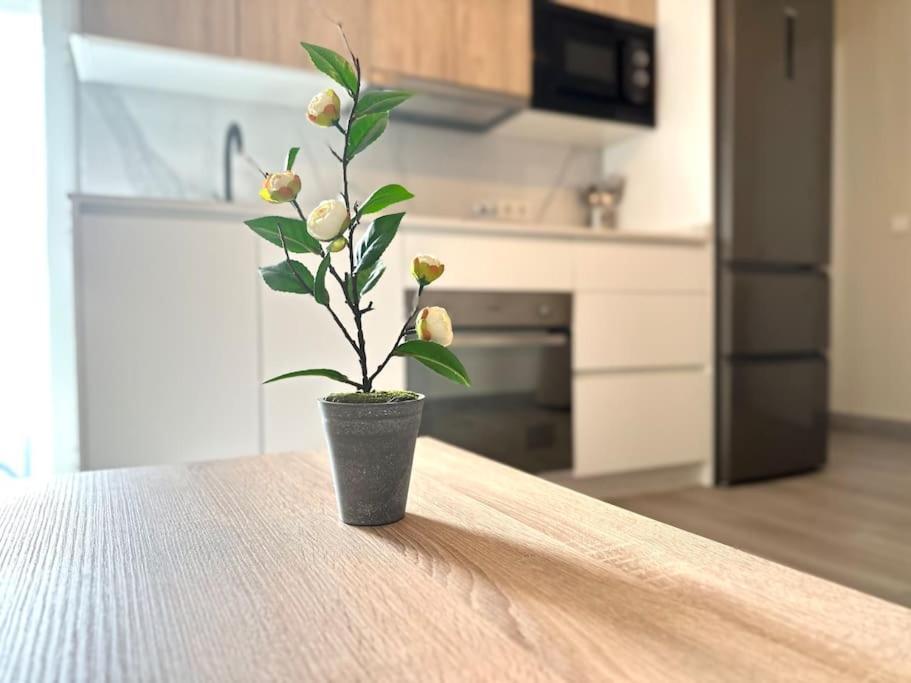 Apartamentos Rincon Andaluz 4 Cordoba Ngoại thất bức ảnh